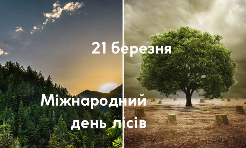 21 березня – Всесвітній день лісів (World Forestry Day)