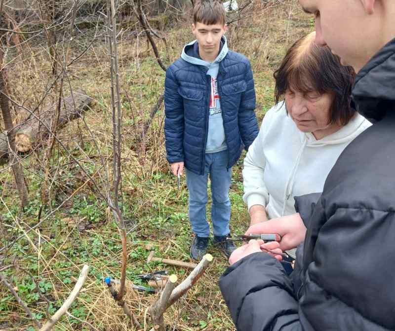 Майстер – клас  на тему «Щеплення зерняткових порід плодових культур»