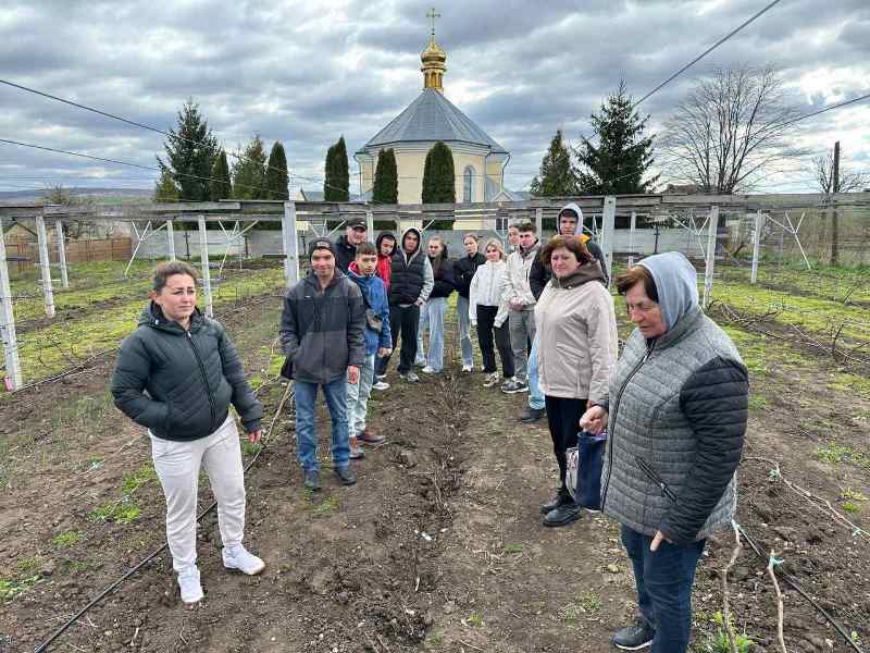 Виїзне практичне заняття в прииватному  господарстві у виноградниках